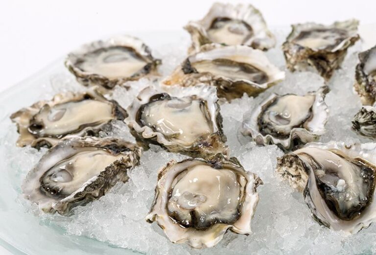 kumamoto-oysters